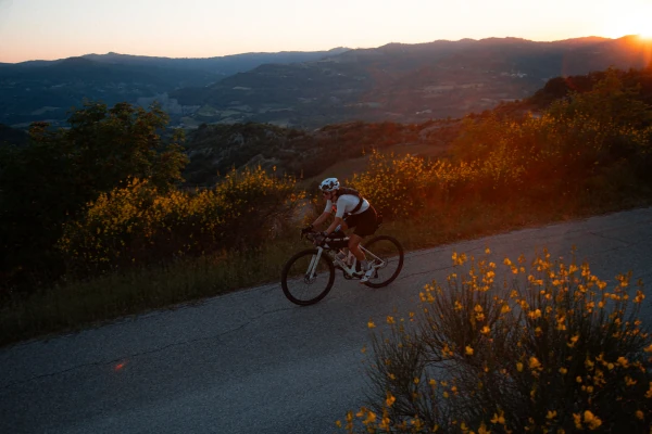 ALIENA 2026 — Le Langhe